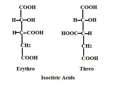 Picture of isocitric acids