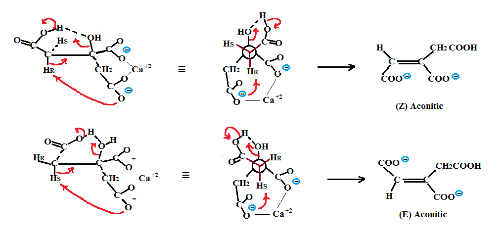 Picture of citric dehydration mechanism