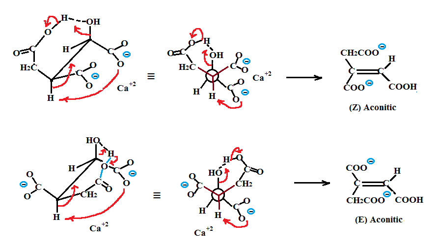 Picture of isocitric dehydration mechanism